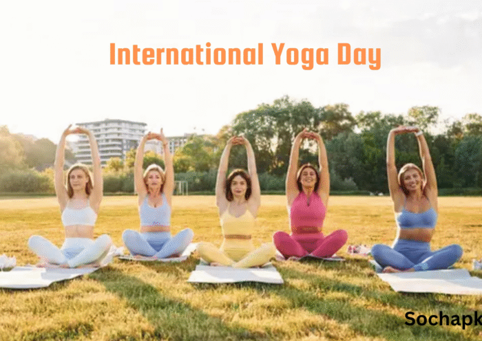 International Yoga Day 2025 in Hindi